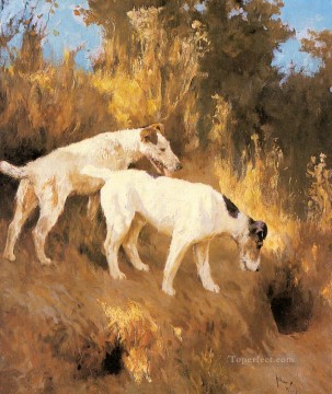 Terriers On The Scent animal Arthur Wardle perro Pinturas al óleo